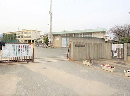 第3向陽小学校 約210ｍ(徒歩2分)