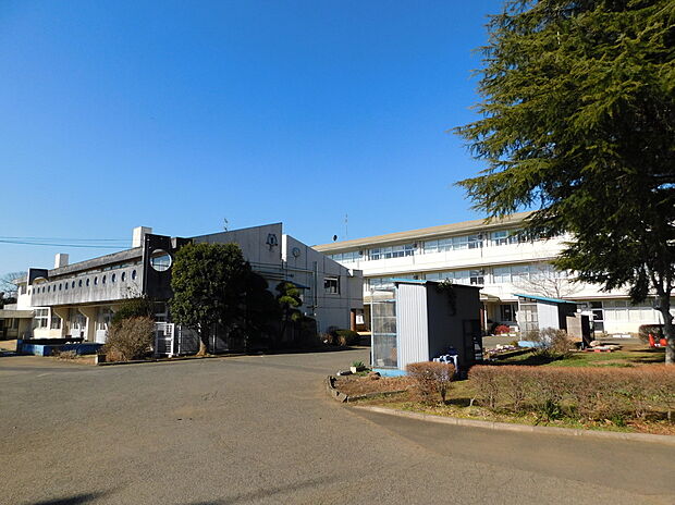 川上小学校(約210m)