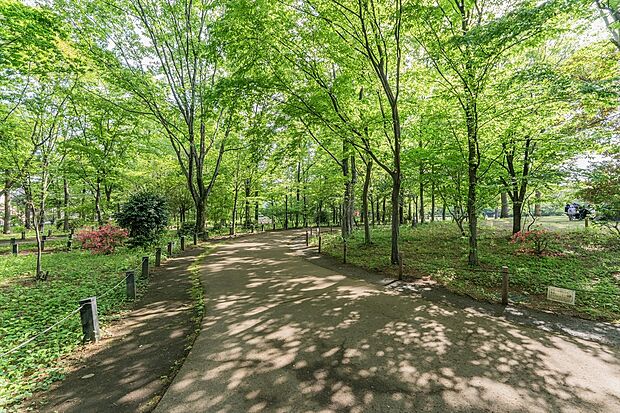 松の宮公園（約620m）
