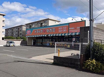 ココカラファイン ドラッグセガミ 井高野店 約270m(徒歩4分)