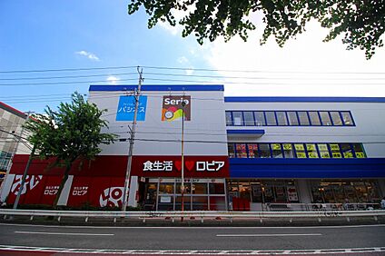 ロピア・ノジマ馬絹店 750m
