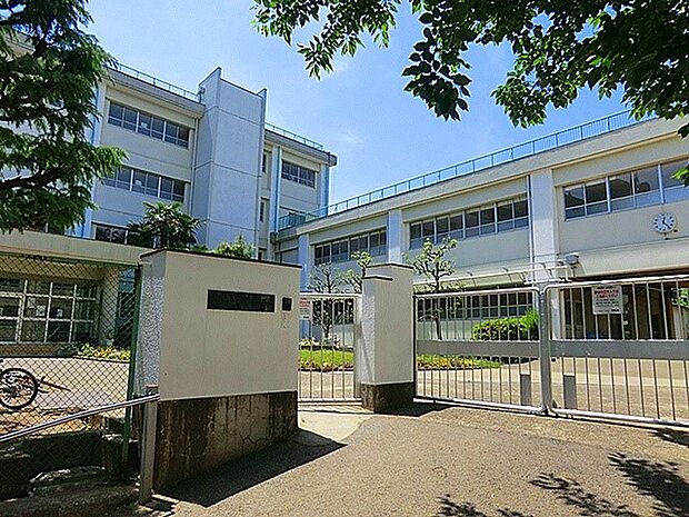 千代ヶ丘小学校(約800m)