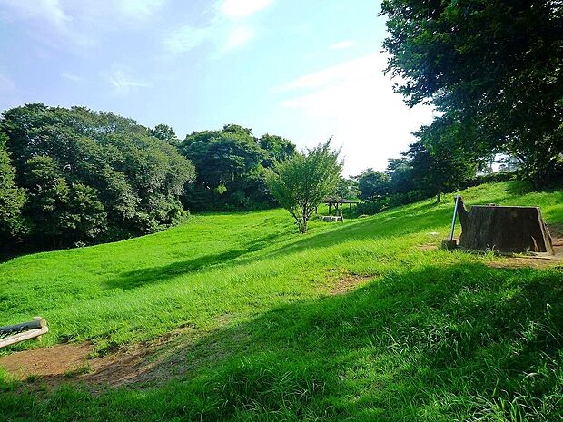 東本郷公園(約500m・徒歩7分)