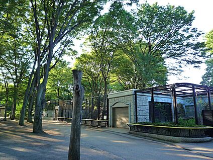 夢見ヶ崎公園　 851m