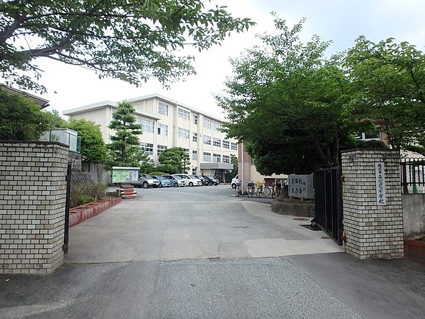 福岡市立老司中学校（約800m・徒歩10分）