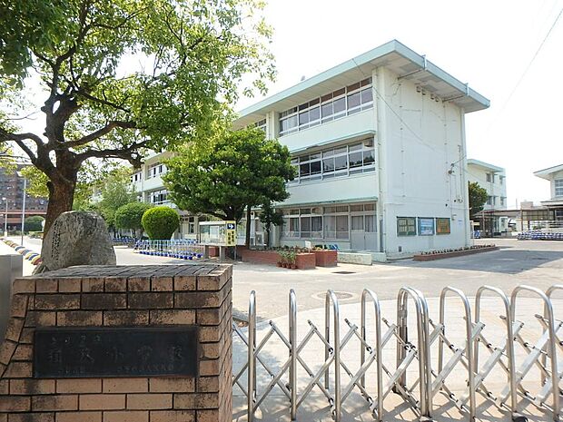 春日市立須玖小学校（約600m・徒歩8分）