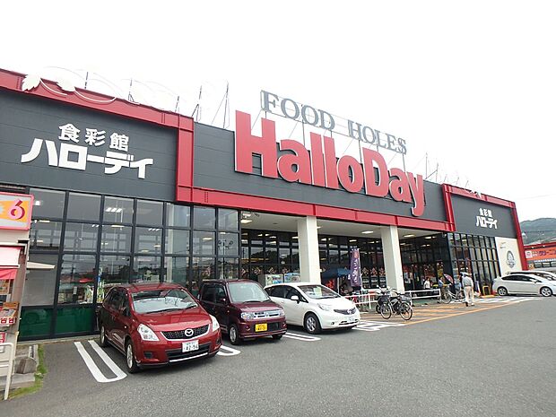 ハローデイ大佐野店(約800m・徒歩10分)