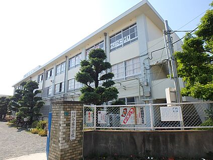 福岡市立今宿小学校 1700m(22分)