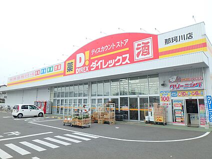 ダイレックス那珂川店 600m(8分)