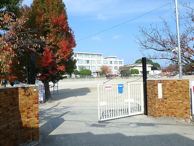 福岡市立香住丘小学校（約650m・徒歩9分）
