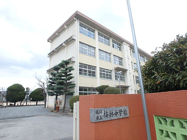 福岡市立梅林中学校(約1,600m・徒歩20分)