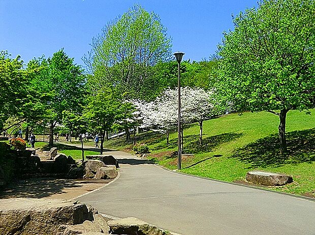 岸根公園まで450m。駅名にもなっている、桜が有名な広々とした公園です。じゃぶじゃぶ池やアスレチック、大きな芝生広場などがあり、休日はピクニックに訪れるファミリーなどで賑わいます。駐車場も完備。
