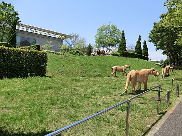 横浜動物の森公園(ズーラシア)まで2100m。園内は8つのゾーンに分かれていて、世界一周の動物旅行をしているかのような感覚を楽しめる動物園です!