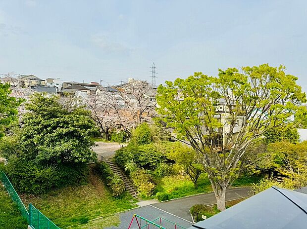 【バルコニーからの眺め】バルコニーからは「日吉本町西原公園（約110ｍ）」の景色がまるでお庭のように見ることができます。春には桜が綺麗に咲くので、家族でお花見を優雅に楽しめそうですね。