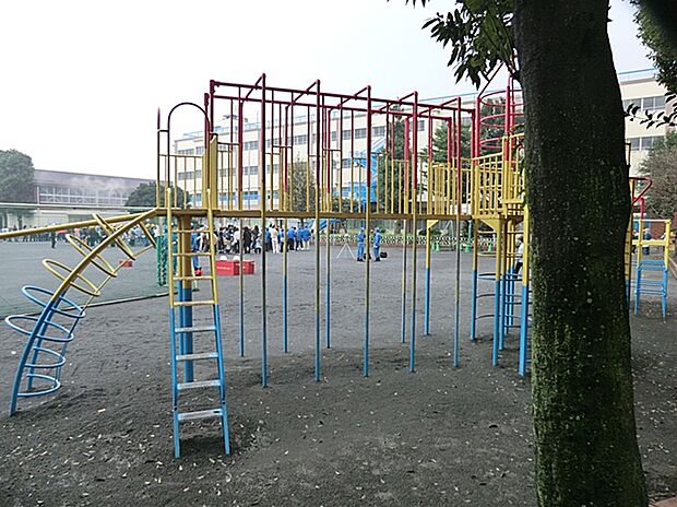 大口台小学校(約500m)