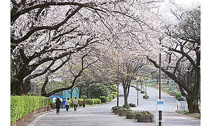 三ツ沢公園 1100ｍ