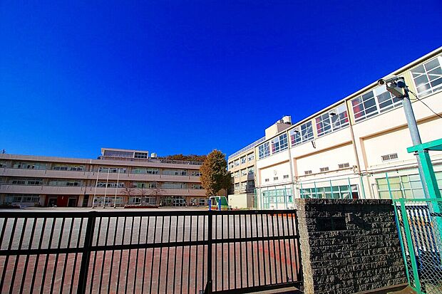 横浜市立城郷小学校(約500m)