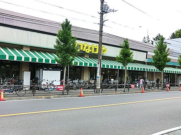 いなげや川崎土橋店(約500m)