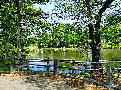 菊名池公園 550m