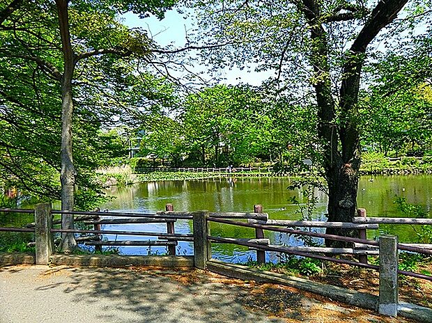菊名池公園(約550m)