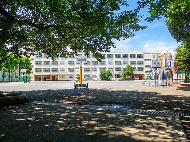 常盤台小学校（約1,400m）
