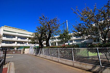 横浜市立錦台中学校 900ｍ