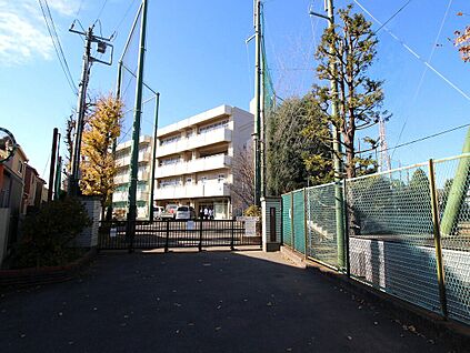 横浜市立六角橋中学校 600ｍ