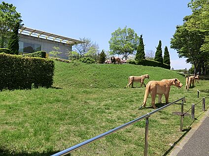 横浜動物の森公園（ズーラシア） 2100ｍ