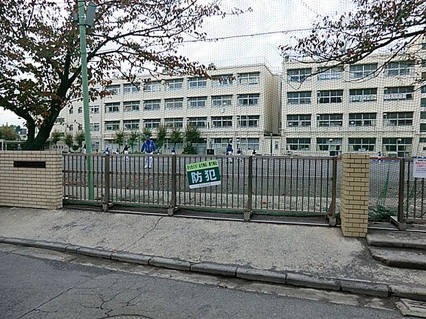 横浜市立師岡小学校(約600m)
