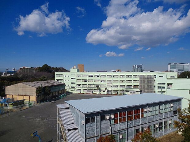 横浜市立篠原小学校（約700m）