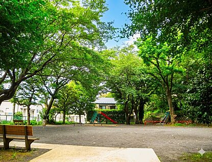三ツ沢公園 1500ｍ