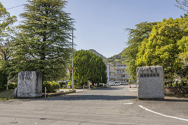 山口高等学校