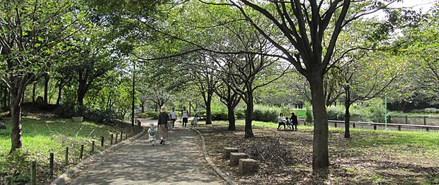 祖師谷公園(約300m)