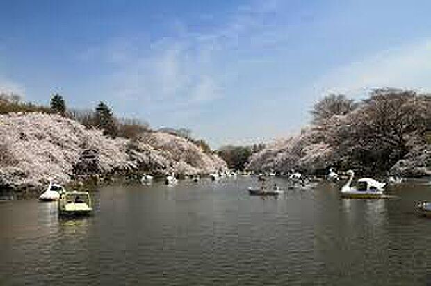 井の頭恩賜公園（約616m）