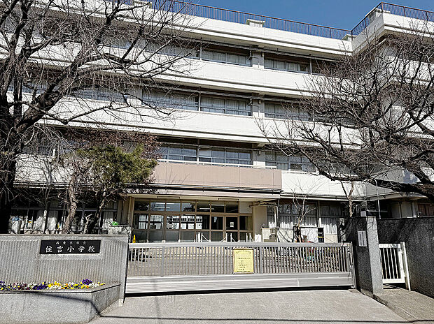 西東京市立住吉小学校(約640m)