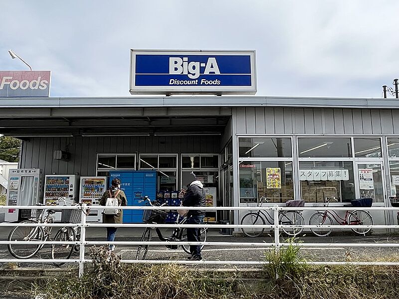 【買い物】BIG-A八千代八千代台西店