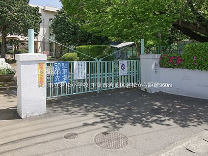 千葉市立若松小学校 960m(12分)