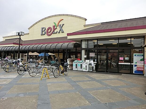 ベルクス 北松戸店(約1,000m・徒歩13分)