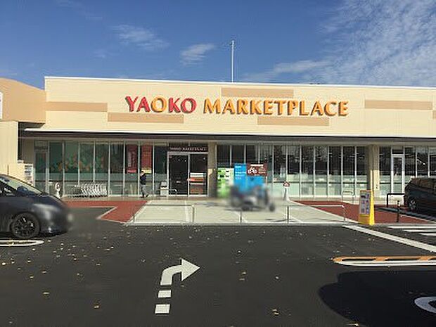 ヤオコー 松戸上本郷店(約673m・徒歩9分)
