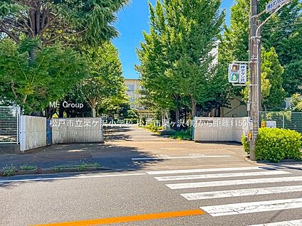 松戸市立栗ケ沢小学校 1150m(15分)