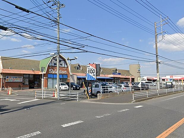 フーズマーケット セレクション 花野井店(約1,500m)