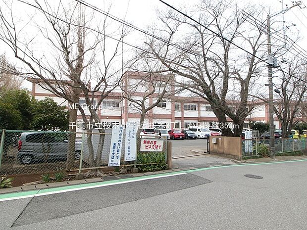 千葉市立桜木小学校(約350m)