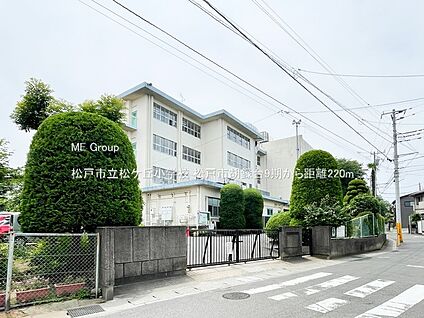 松戸市立松ケ丘小学校 220m