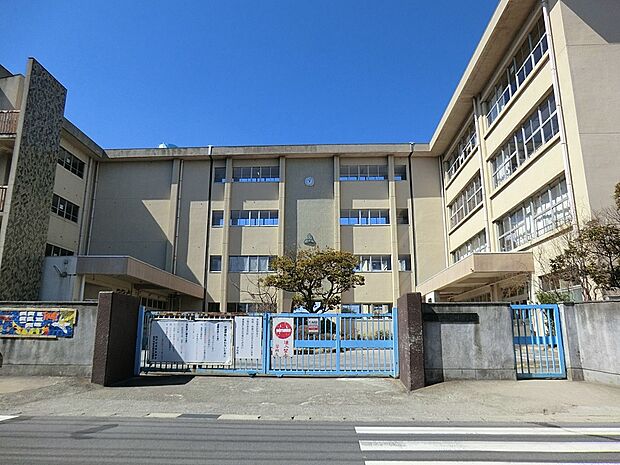 松戸市立古ケ崎小学校（約1,100m）