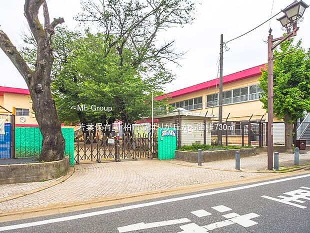 若葉保育園（約730m・徒歩10分）