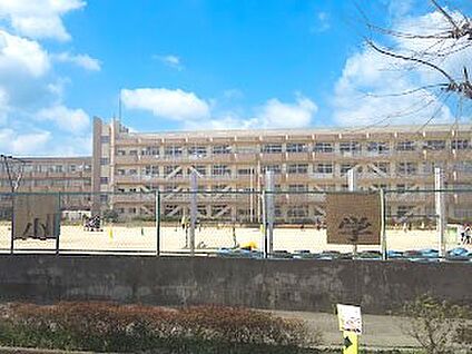 船橋市立習志野台第二小学校 800m