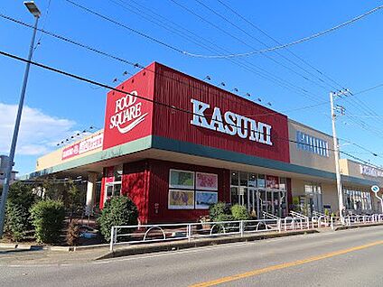 カスミ フードスクエア 柏千代田店 1100m