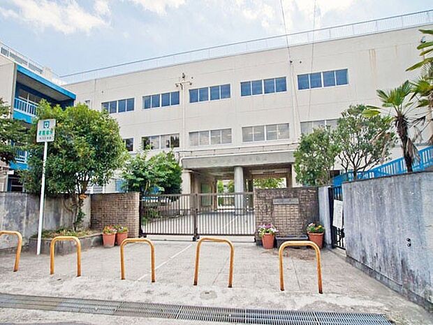市川市立市川小学校(約1,400m・徒歩18分)