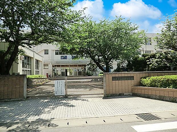 松戸市立南部小学校(約985m・徒歩13分)
