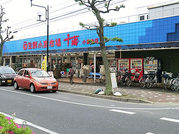 生鮮小売市場千城小倉台店(約600m・徒歩8分)